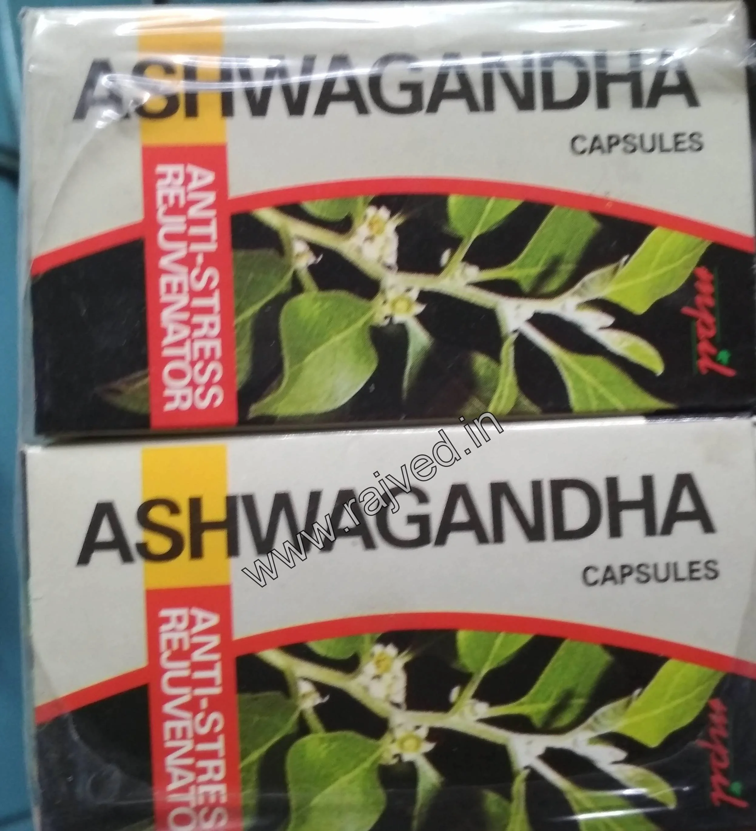 ashwagandha cap 60cap-maheshwari pharmaceutical - Image 1